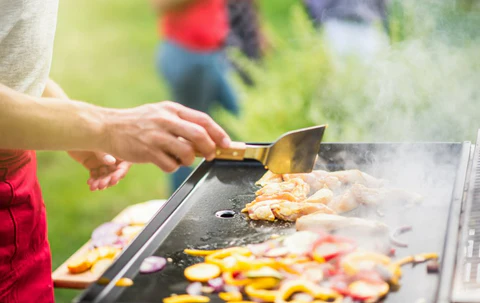 What factors are to be considered while selecting the best griddle grill?