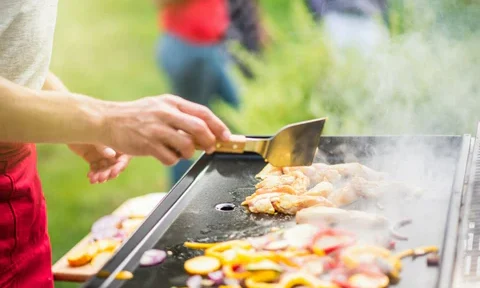 What factors are to be considered while selecting the best griddle grill?