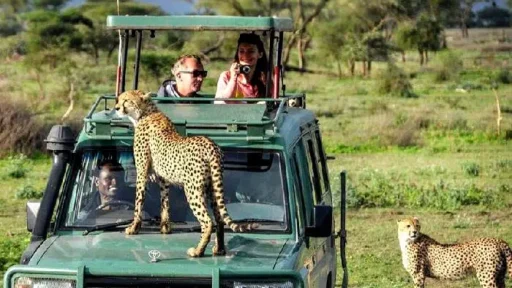 Is Tanzania Safe for Tourists? Unraveling Safety Measures