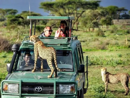 Is Tanzania Safe for Tourists? Unraveling Safety Measures