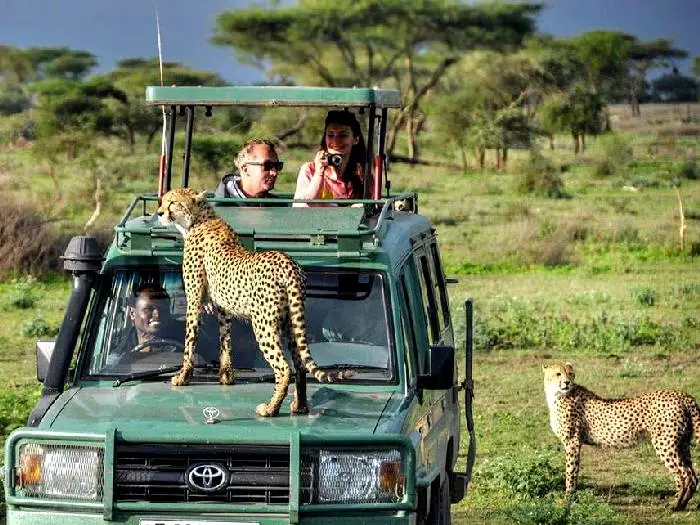 Is Tanzania Safe for Tourists? Unraveling Safety Measures